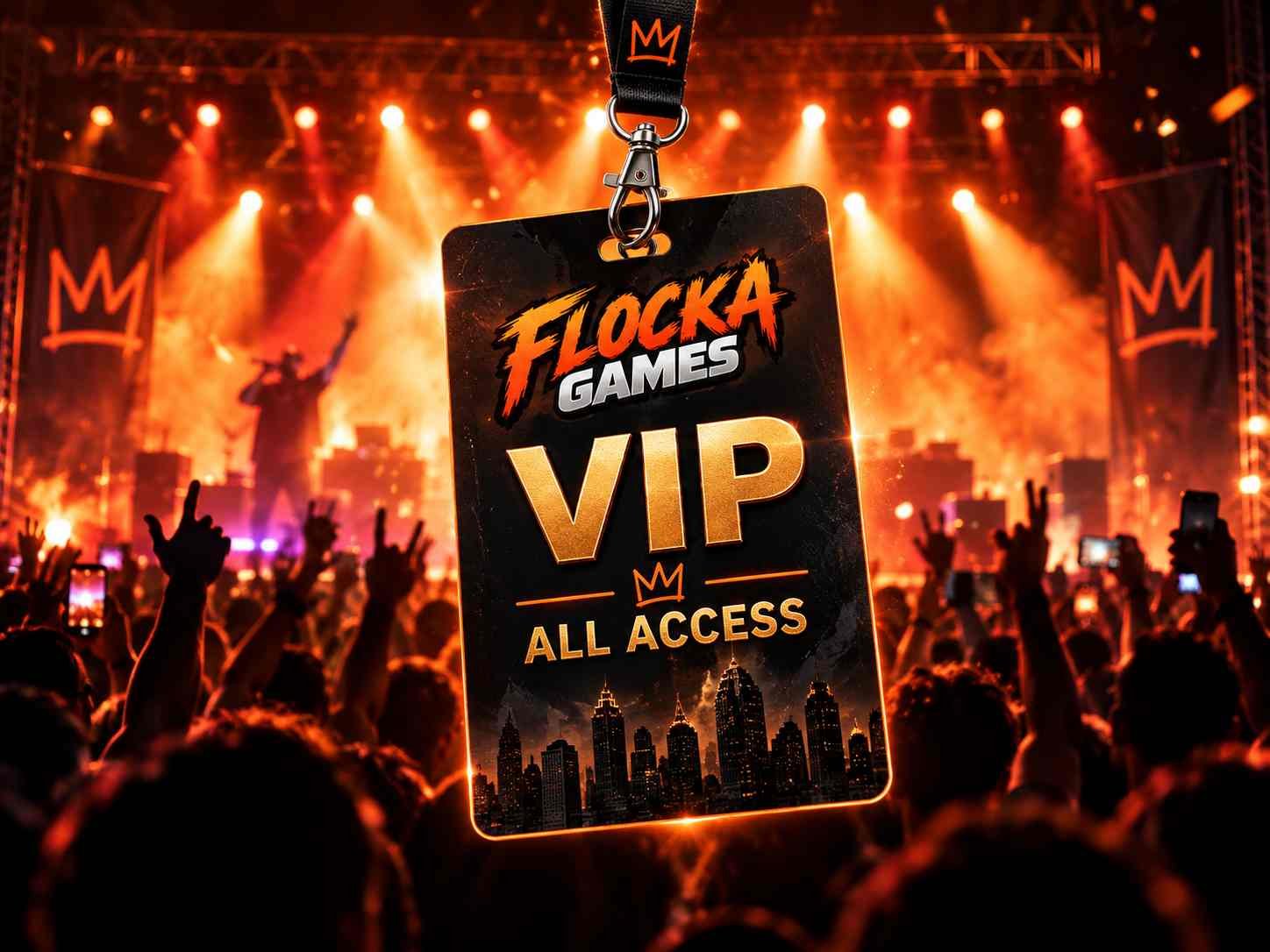 VIP Concert Experience